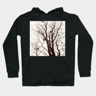 Crows Hoodie